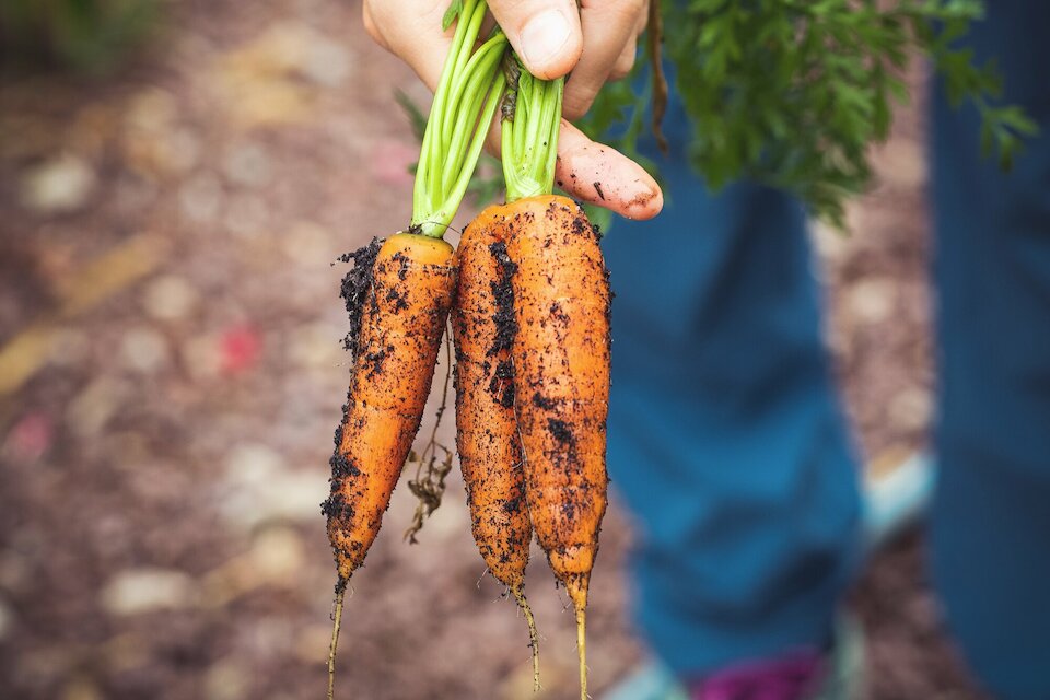 High-quality agricultural products