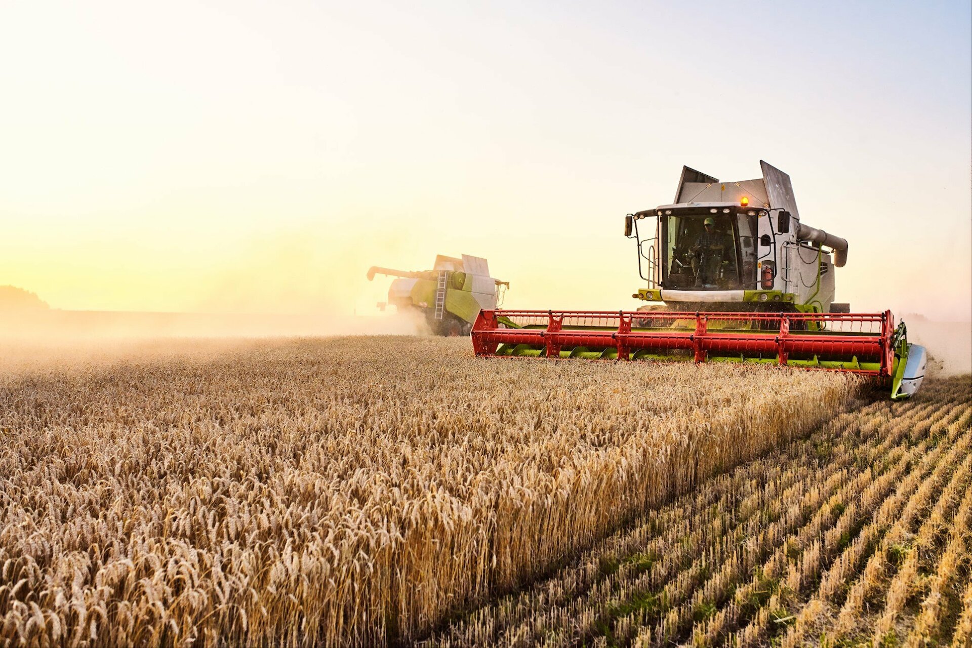 Agriculture